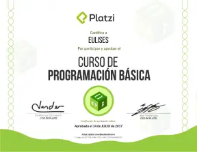 certificado programacion basica